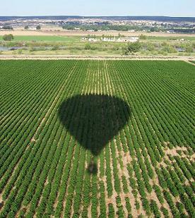 Balloon Shadow c. Lanelli 2007