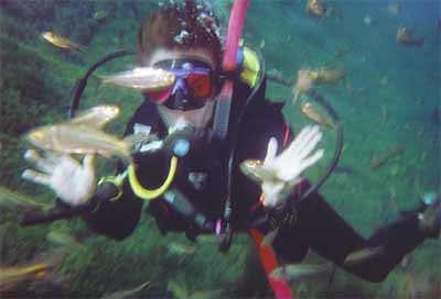 Mexican Tetras Surround Yvonne at Balmorhea State Park c. Lanelli 2004